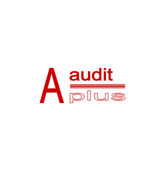 audit-aplus.ru
